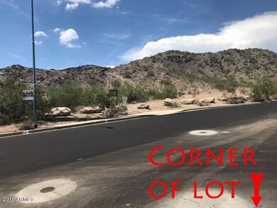 Cholla Corner