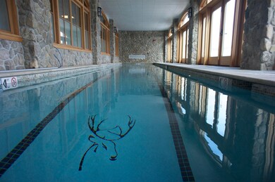 18 Grenoble Way unit 201, Wilmington, VT 05363 - photo 5