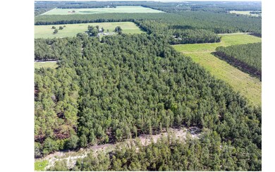 TBD 216th St, O'Brien, FL 32071 - photo 5