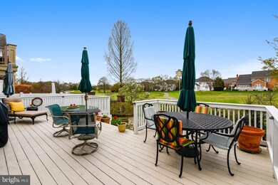 18436 Lanier Island Square, Leesburg, VA 20176 - photo 3