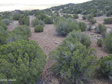 5 County Rd unit 8095, Concho, AZ 85924 - photo 6