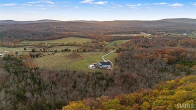 2168 Pendleton Rd, Farmington, MO 63640 - photo 5