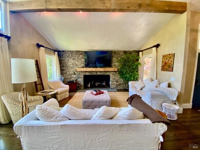 3594 Silverado Trail N, Saint Helena, CA 94574 - photo 5