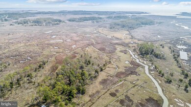 1806 Crocheron Rd, Toddville, MD 21672 - photo 6