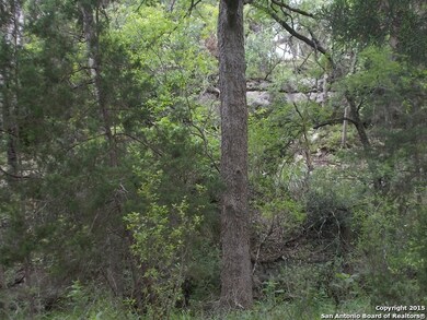 24802 N Saddle Trail, San Antonio, TX 78255 - photo 5