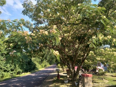 View of the road