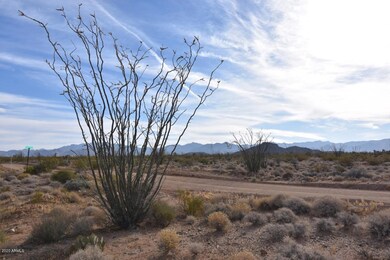 Lone Ranger Rd - 3