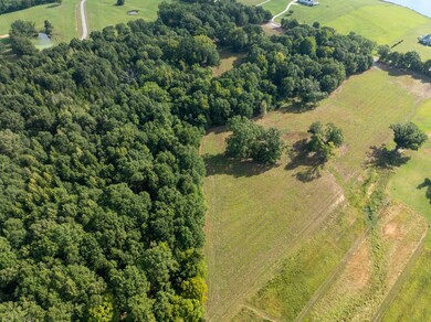 0 Cane Creek Rd unit Lot 7, Flora, MS 39071 - photo 4