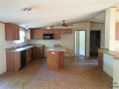 16971 Jessie Hale Rd, Tyler, TX 75707 - photo 4