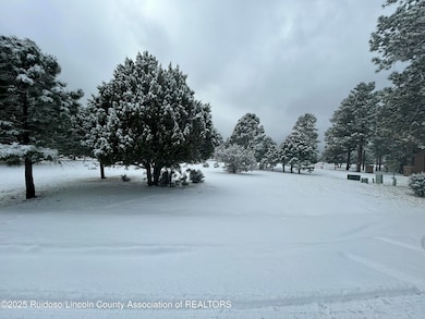 Lot 14 Larkspur Loop View