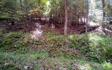 0 Gladstone Ct unit 301673, Ellijay, GA 30540 - photo 3