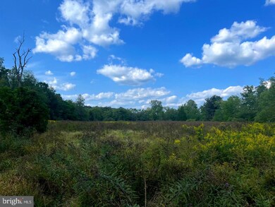 0 Jc Markwood Rd unit WVHD2001136, Old Fields, WV 26845 - photo 7