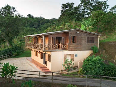 SR 526 Bosque Tanama, Adjuntas, PR 00601 - photo 3