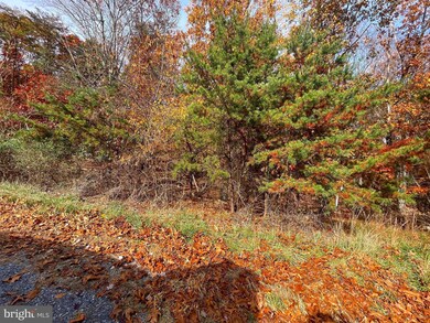 10 Silage Ln, Berkeley Springs, WV 25411 - photo 3