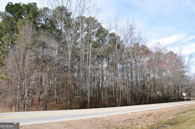 0 Monroe Hwy unit 10466108, Bethlehem, GA 30620 - photo 2