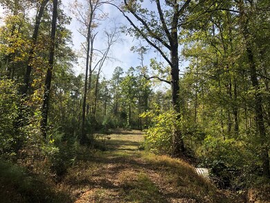 59.65 Ac White Rock Rd, Lincolnton, GA 30817 - photo 2