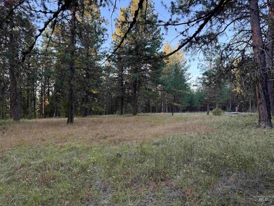 TBD Harlow Ridge Rd - Cloverland Estates 27, Asotin, WA 99402 - photo 6