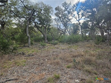 5692 Comal Vista, New Braunfels, TX 78132 - photo 6