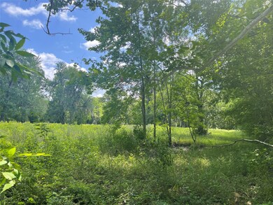 13447 Lyric Rd, Conroe, TX 77302 - photo 4