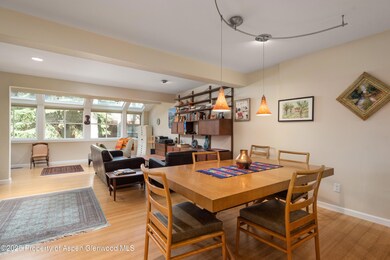 100 N 8th St unit 26, Aspen, CO 81611 - photo 2