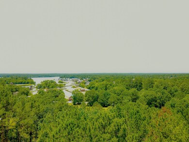 75 N Forest Dr, Huntsville, TX 77340 - photo 6