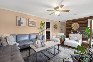 Living Room 1-1