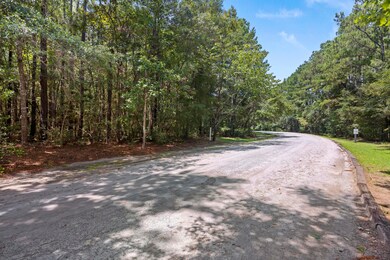 0 Pawlett Blake Ln unit 25023063, Wadmalaw Island, SC 29487 - photo 4