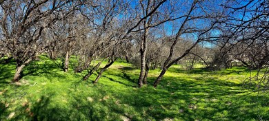 unlisted-address, Cornville, AZ 86325 - photo 6
