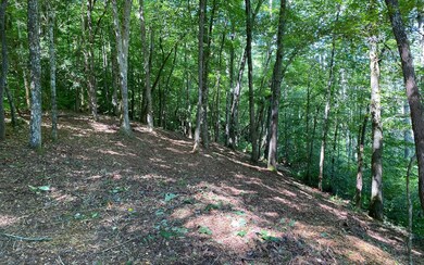 Additional View