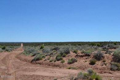 DSC_0383 (800x533)