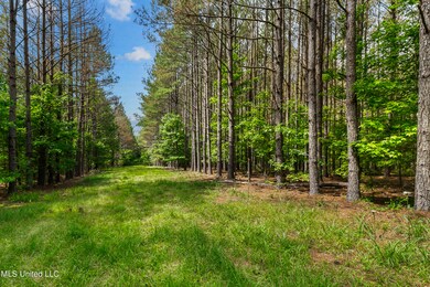 Spring Rd-2