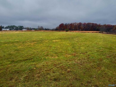 Tract 2 County Road 89, Anderson, AL 35610 - photo 4