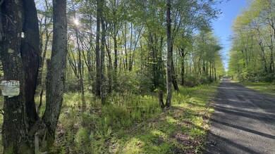 0 Butternut Road & Mahogany Rd, Jim Thorpe, PA 18229 - photo 6