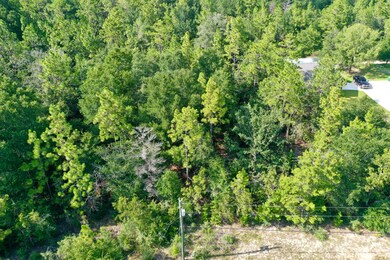 0451C7AA-4D0D-48DA-AF93-66DF5A96874D_1_2