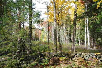 289 Handle Rd, Dover, VT 05356 - photo 4