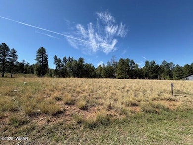 2221 W Edgewater unit Lot 57, Show Low, AZ 85901 - photo 3