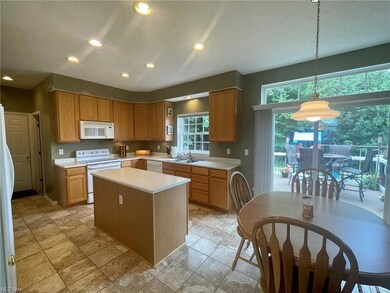 3704 Strawberry Hill, Rootstown, OH 44272 - photo 4