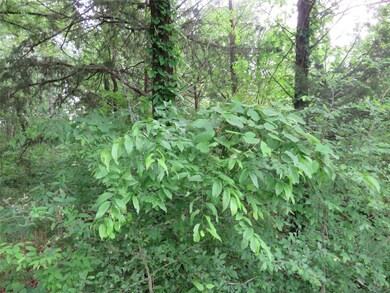 Tract 3 Recreational Road 3, Bonham, TX 75418 - photo 4