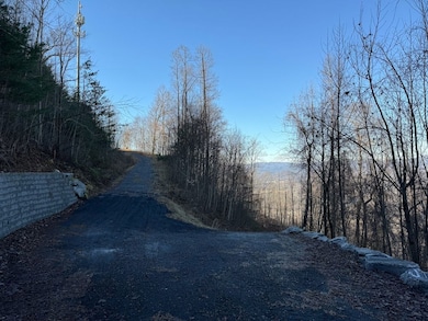 00 Cliffside Dr unit LotWP002, Hayesville, NC 28904 - photo 5