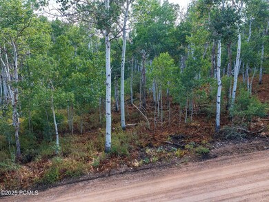 2919 Green Briar Way unit 543, Timber Lakes, UT 84032 - photo 5