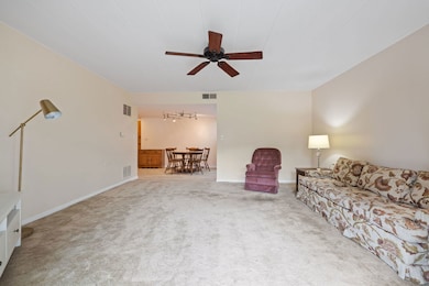 5540 Walnut Ave unit 11B, Downers Grove, IL 60515 - photo 5