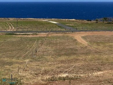 2 Carr Prairie, Quebradillas, PR 00678 - photo 4