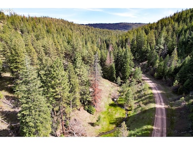 0 Forest Service Rd unit 22044352, Prairie City, OR 97869 - photo 2