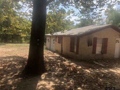 13020 County Road 287, Tyler, TX 75707 - photo 3