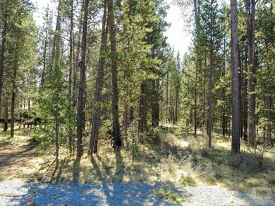 17305 Scaup Dr, Bend, OR 97707 - photo 2