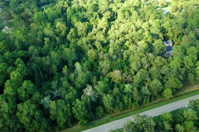 11817 White Oak Pass, Conroe, TX 77385 - photo 6