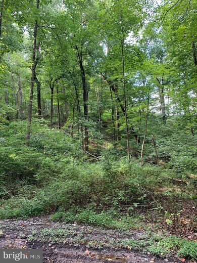 922 Buckhorn Rd, Sykesville, MD 21784 - photo 4