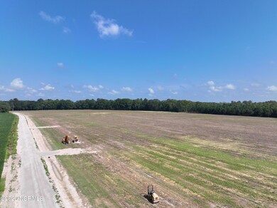 DJI_0559