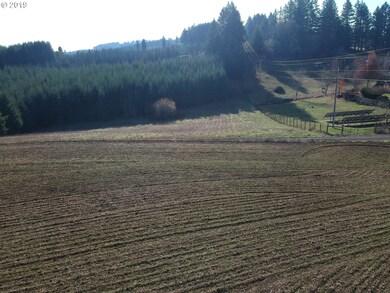 35970 SW Bald Peak Rd, Hillsboro, OR 97123 - photo 5