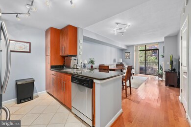 Clarendon 1021 unit 328, Arlington, VA 22201 - photo 4